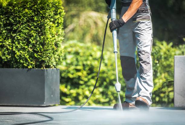 Best Fence Cleaning  in Evansdale, IA